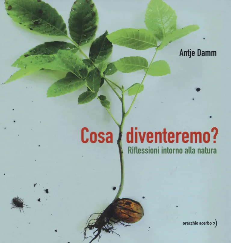 Cosa diventeremo? Riflessioni intorno alla natura.