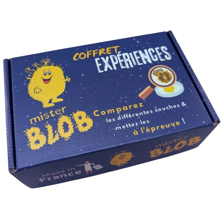 Mister Blob - set esperienze