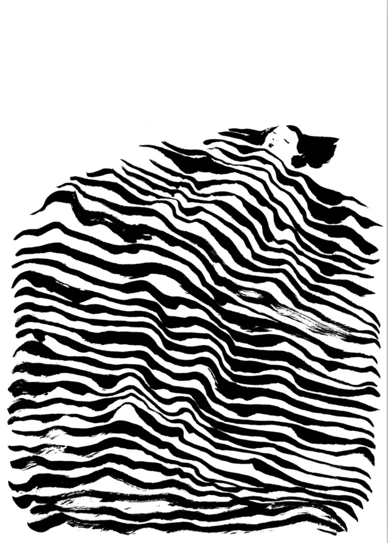 Coperta -  Daily news 360