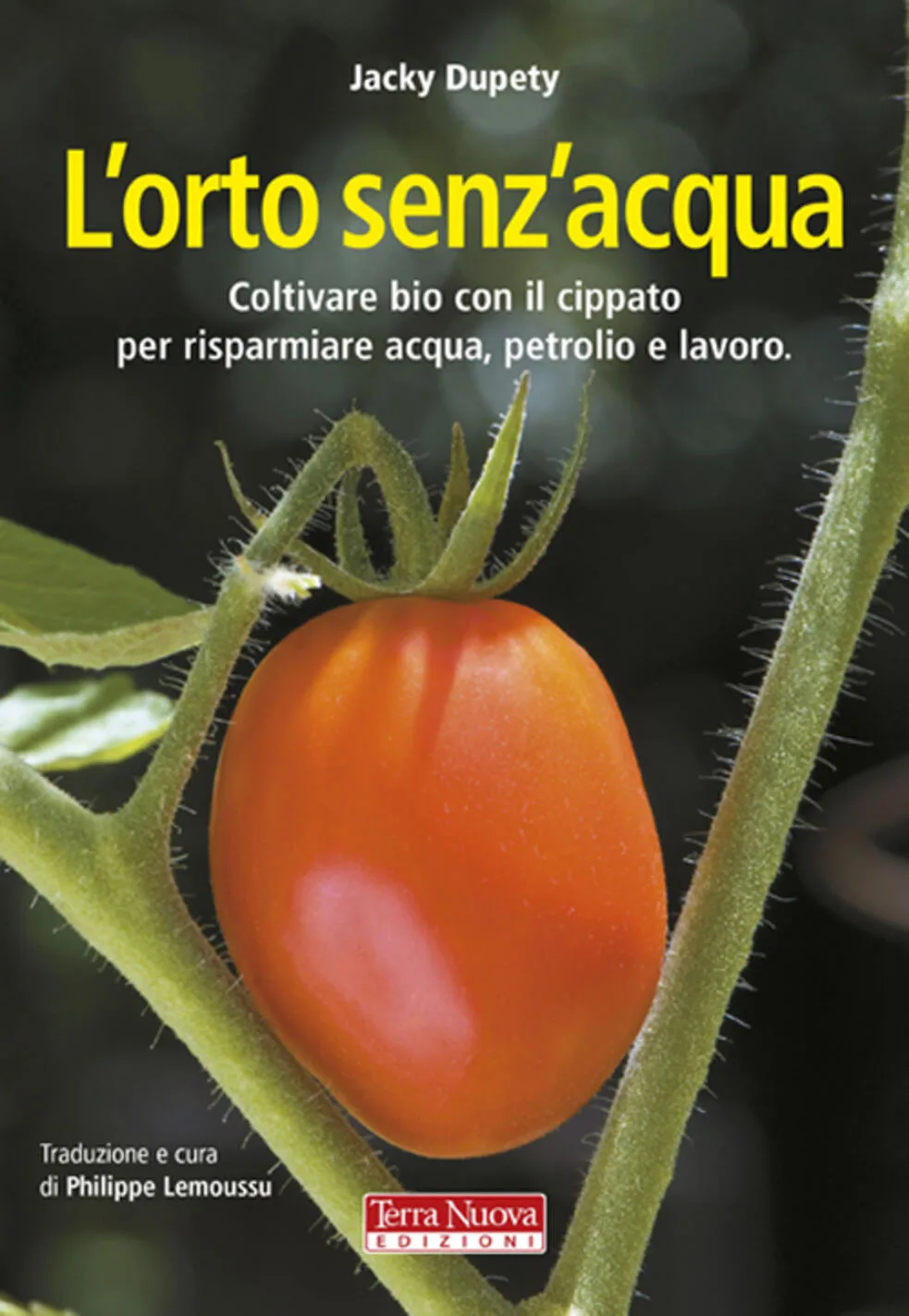 L' orto senz'acqua. Coltivare bio con il cippato per risparmiare acqua, petrolio e lavoro. Ediz. illustrata