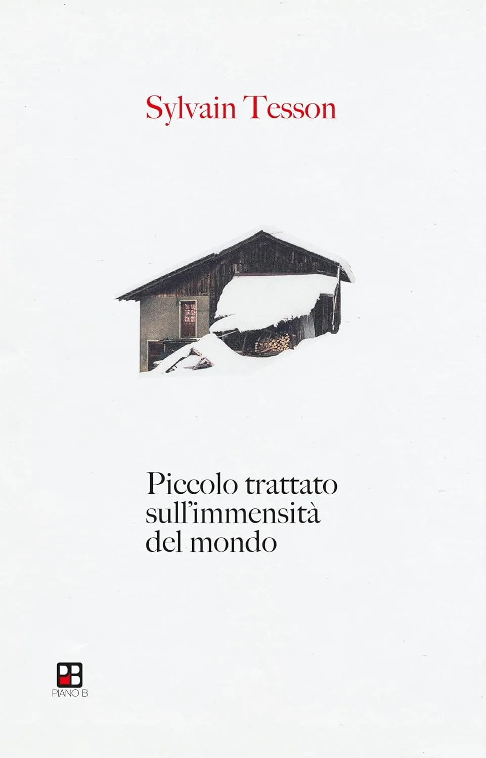 Piccolo trattato sull'immensità del mondo