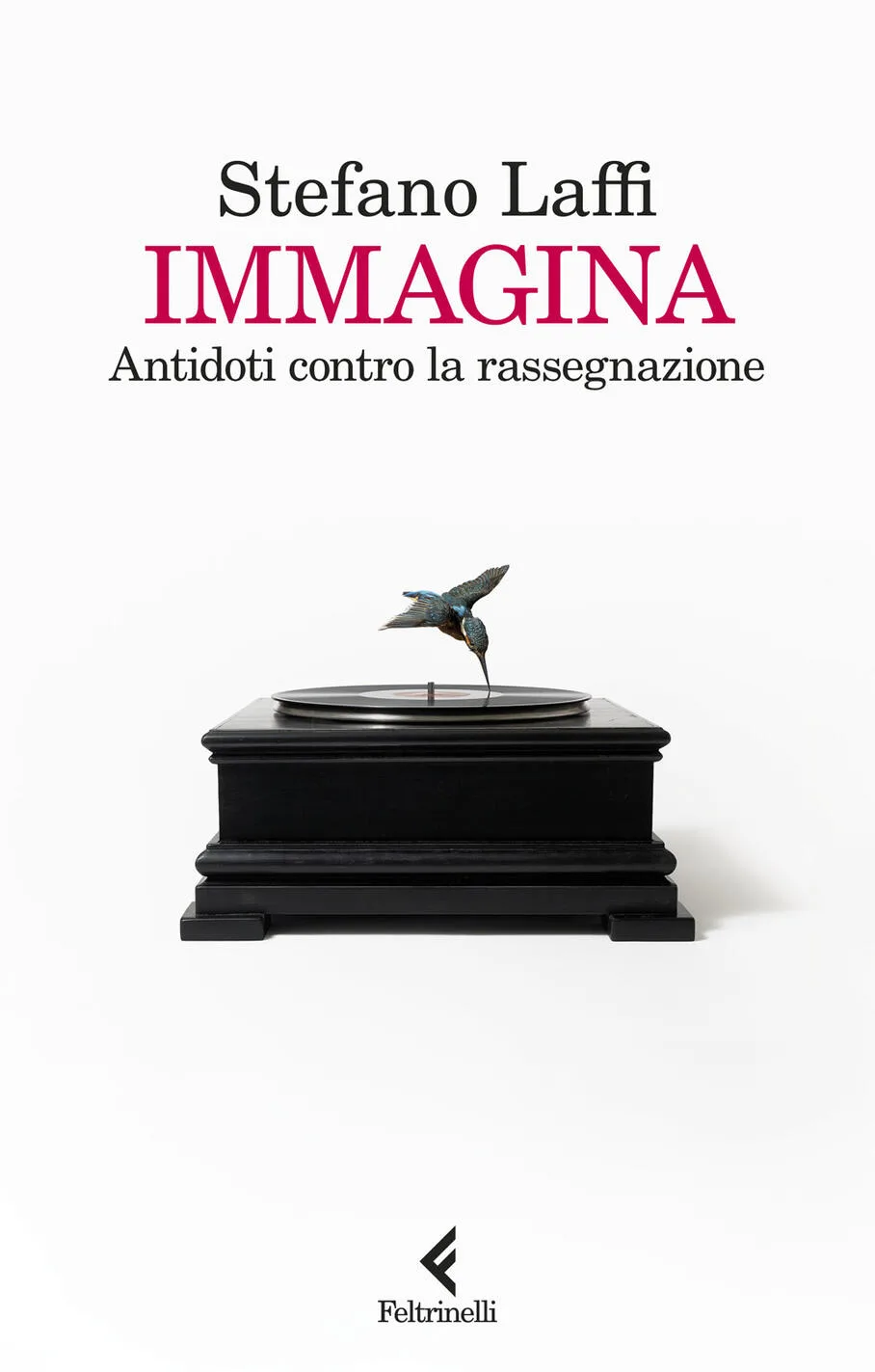 Immagina