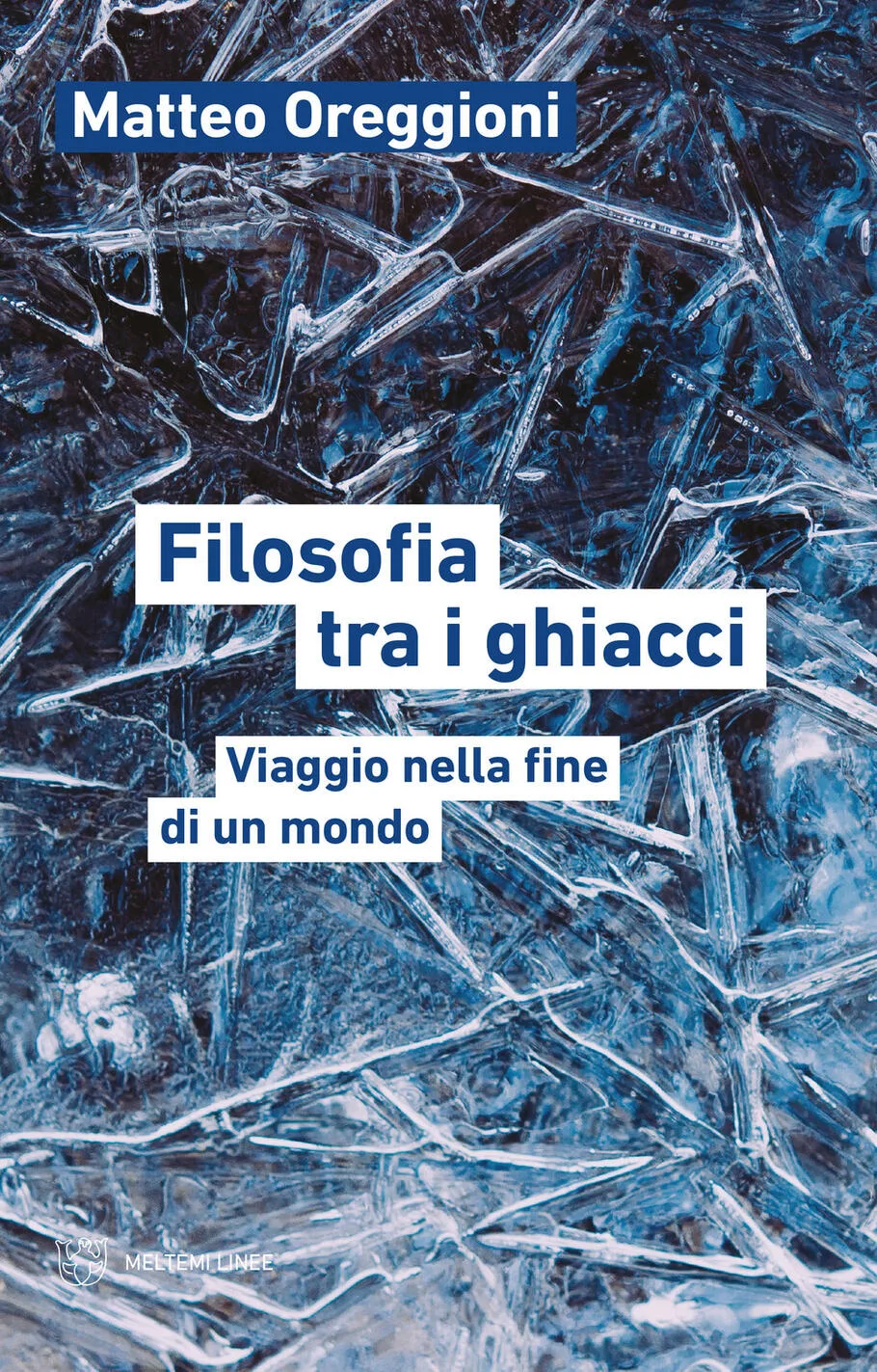 Filosofia tra i ghiacci. Viaggio nella f