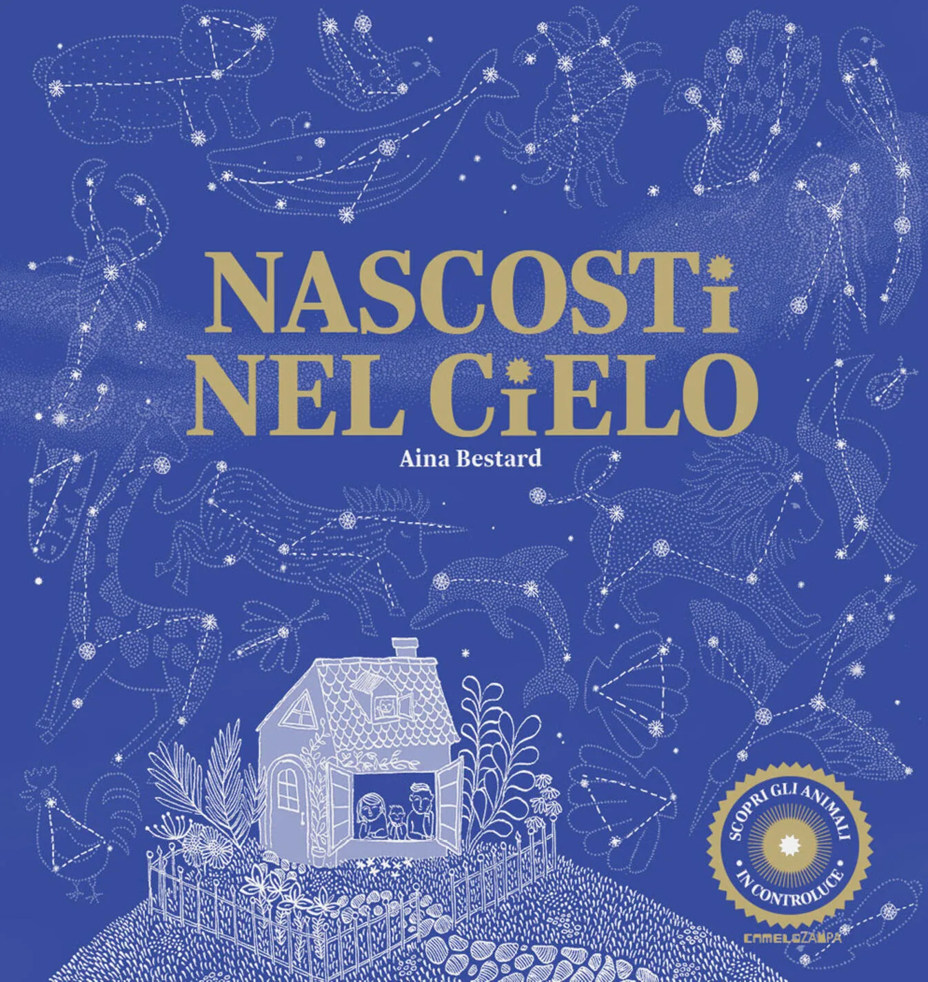 Nascosti nel cielo.