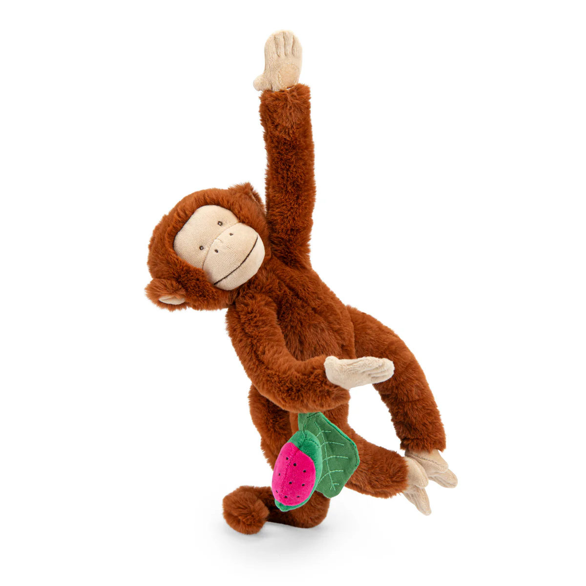 Singe Mochica d'activités à suspendre La foret Mawa - Scimmia Mochica attività da appendere La foret Mawa