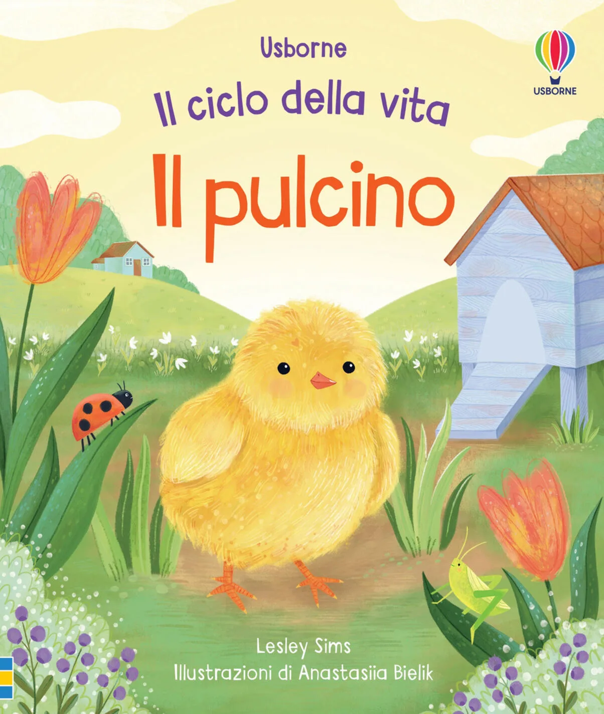 Il pulcino