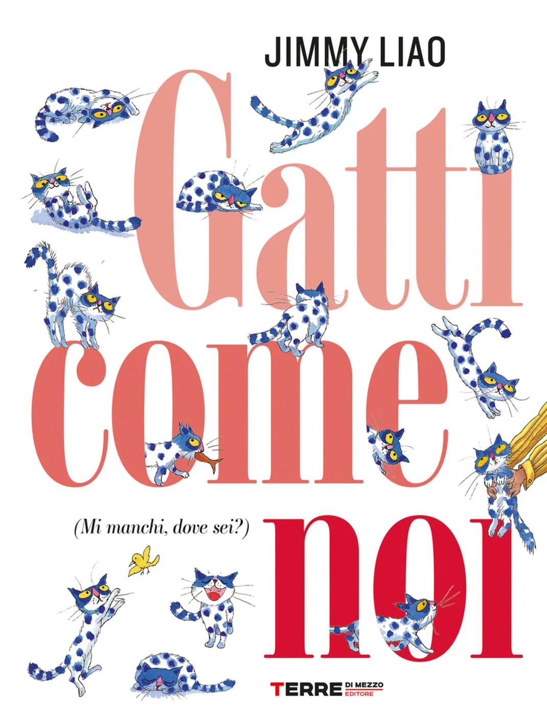 Gatti come noi (Mi manchi, dove sei?)