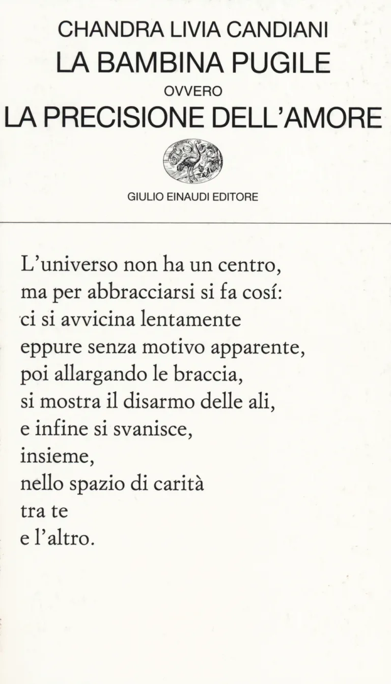 La bambina pugile ovvero La precisione dell'amore