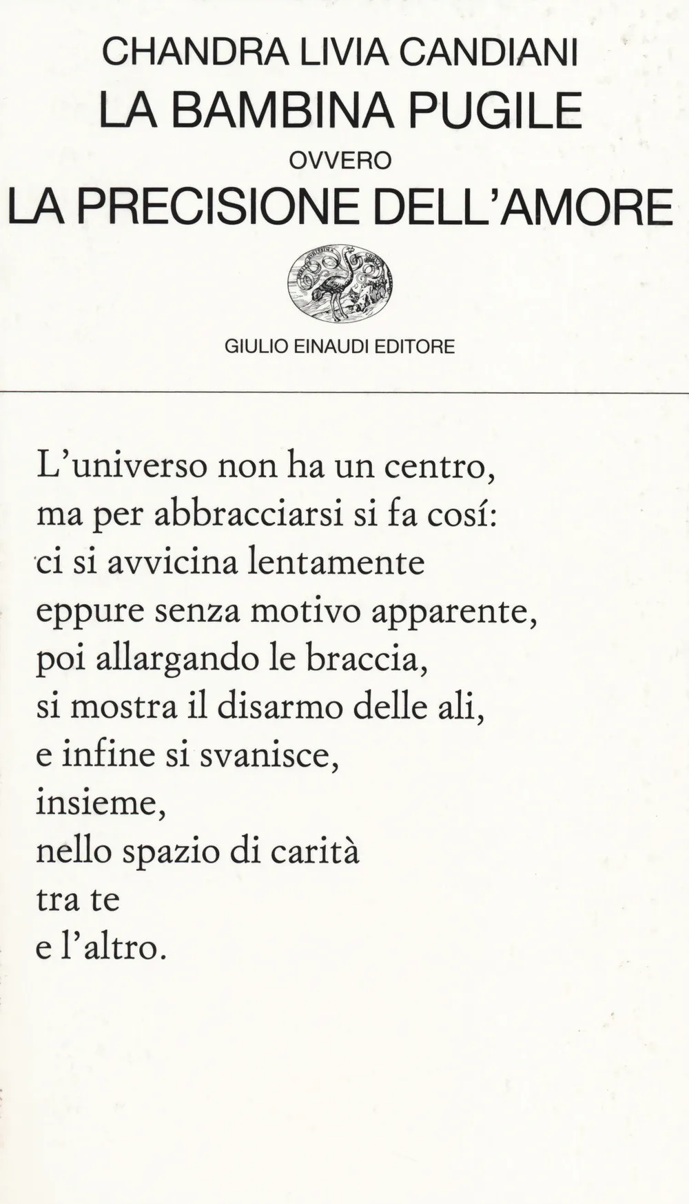 La bambina pugile ovvero La precisione dell'amore