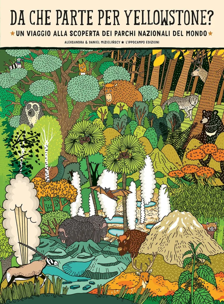 Da che parte per Yellowstone?