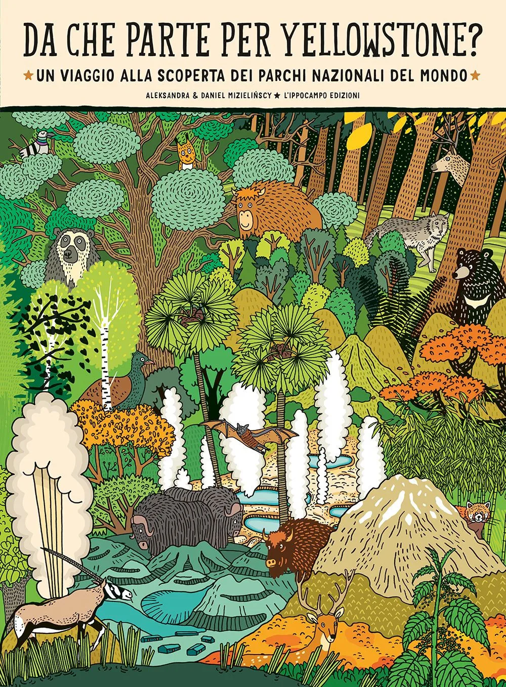 Da che parte per Yellowstone?