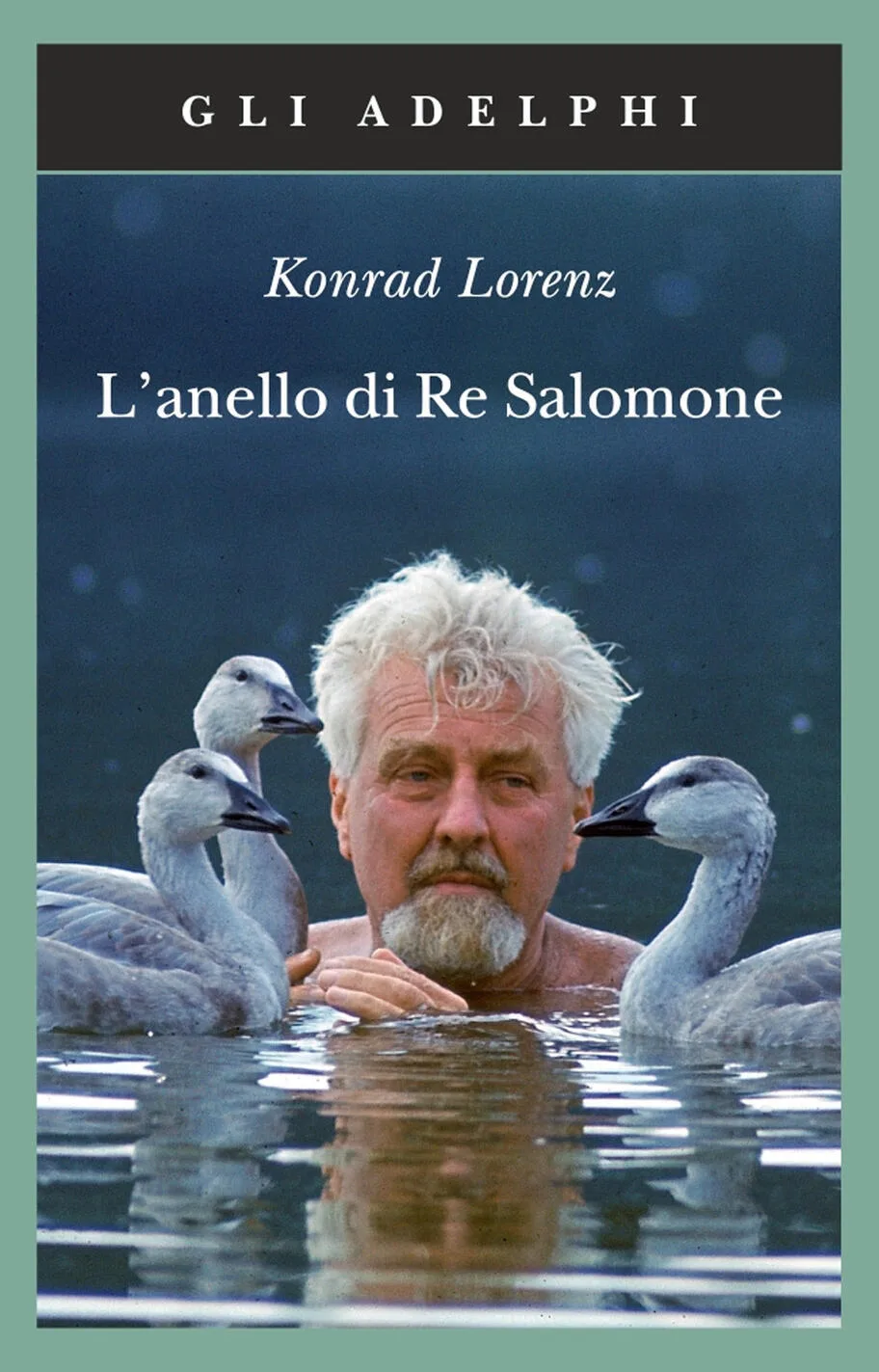 L'anello di Re Salomone SC10