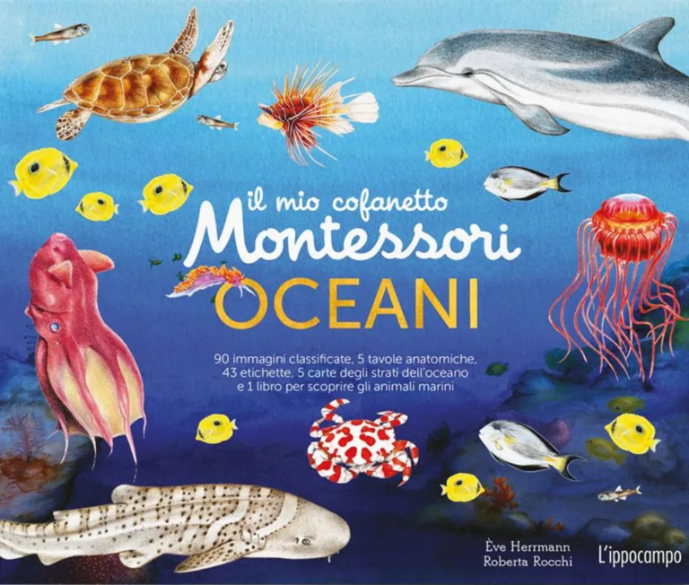 Il mio cofanetto degli oceani Montessori