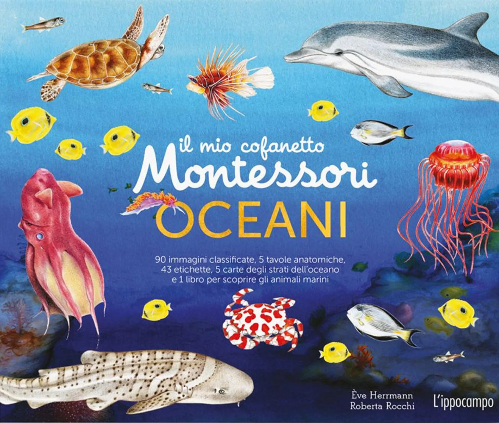 Il mio cofanetto degli oceani Montessori