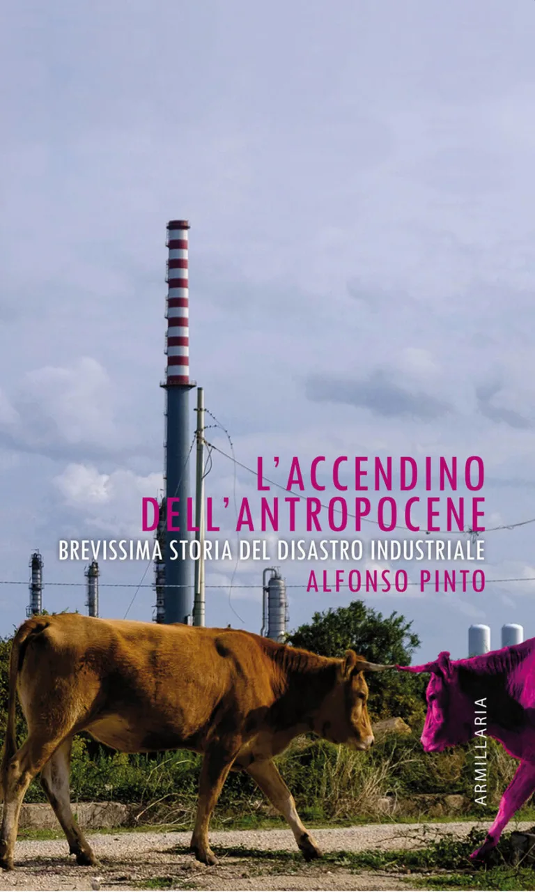 L'accendino dell'antropocene. Brevissima storia del disastro ambientale