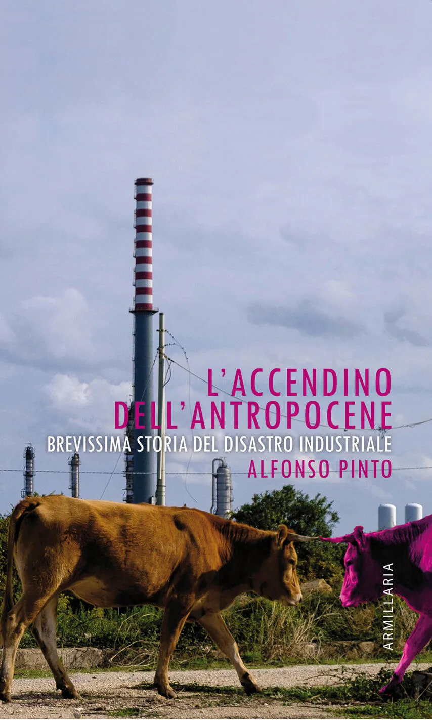 L'accendino dell'antropocene. Brevissima storia del disastro ambientale