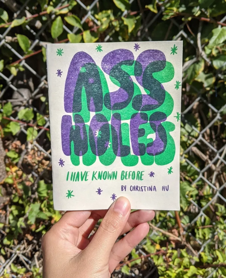 Assholes I Have Known Before Risograph Zine