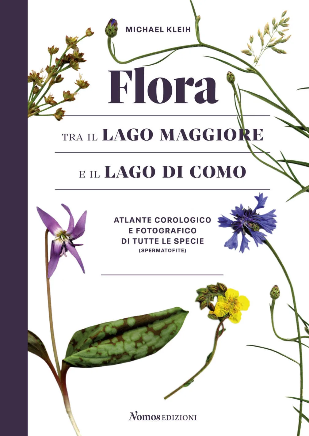 FLORA TRA IL LAGO MAGGIORE E IL LAGO DI