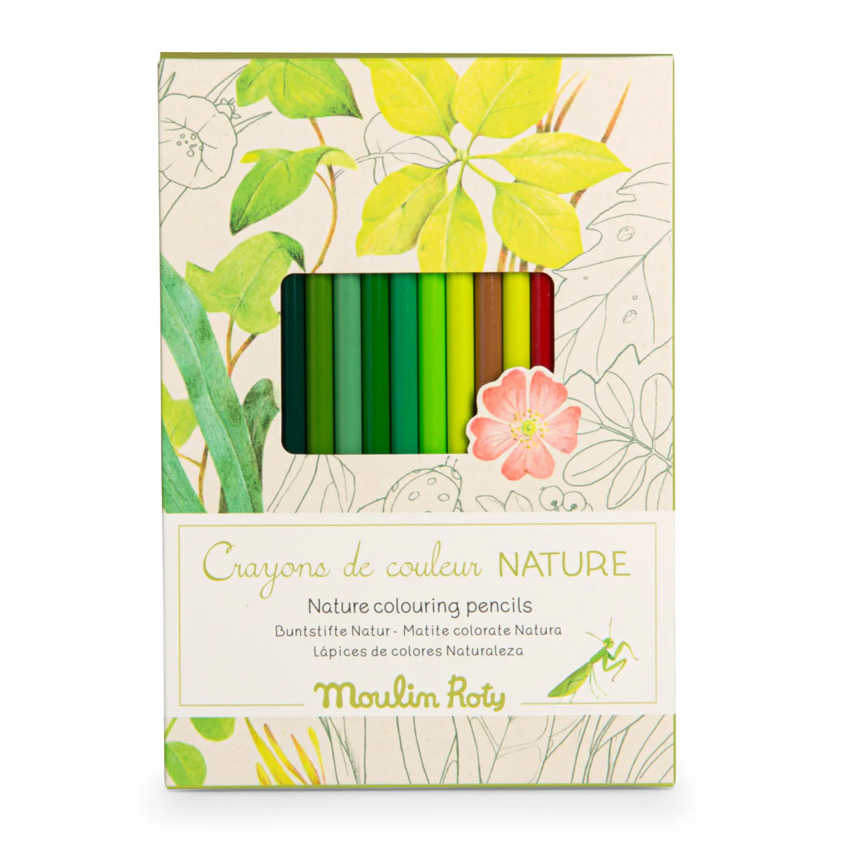 12 colori matite colorate+schede - verdi