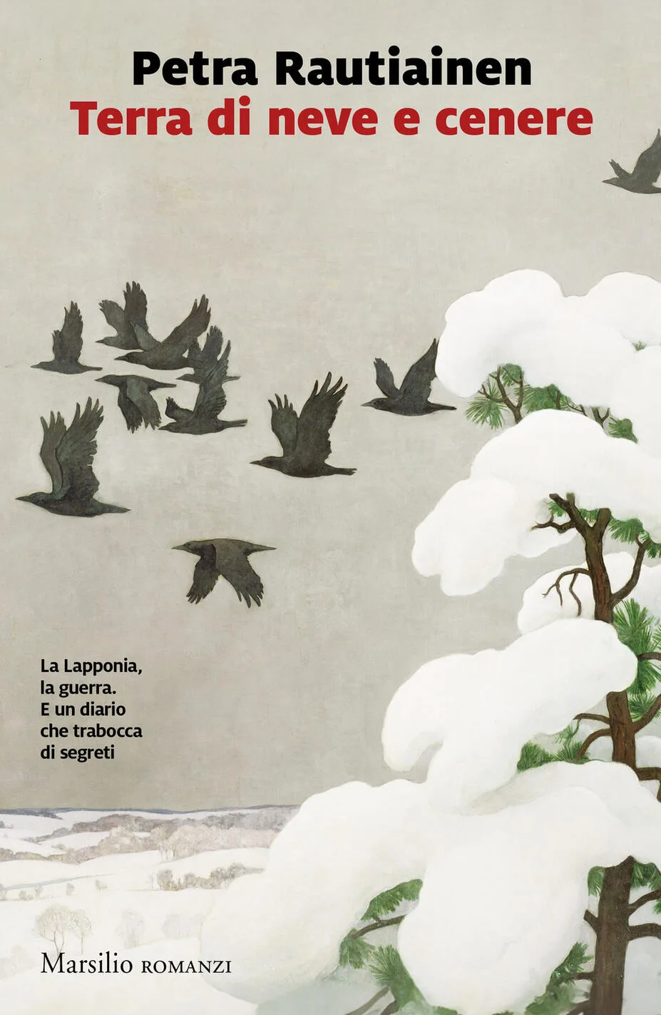 terra di neve e cenere