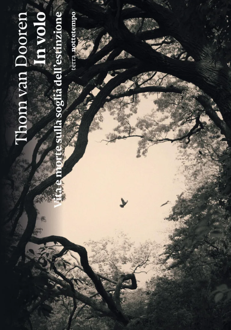 In volo. Vita e morte sulla soglia dell'estinzione