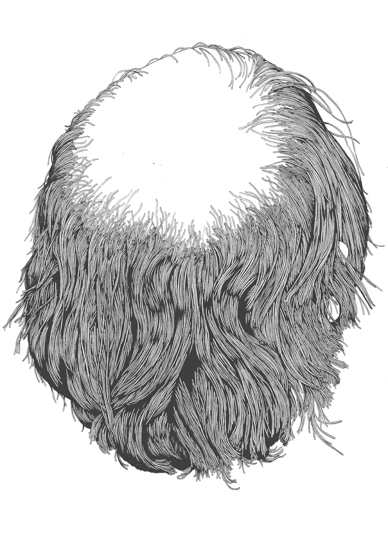 The And - Quentin Blake