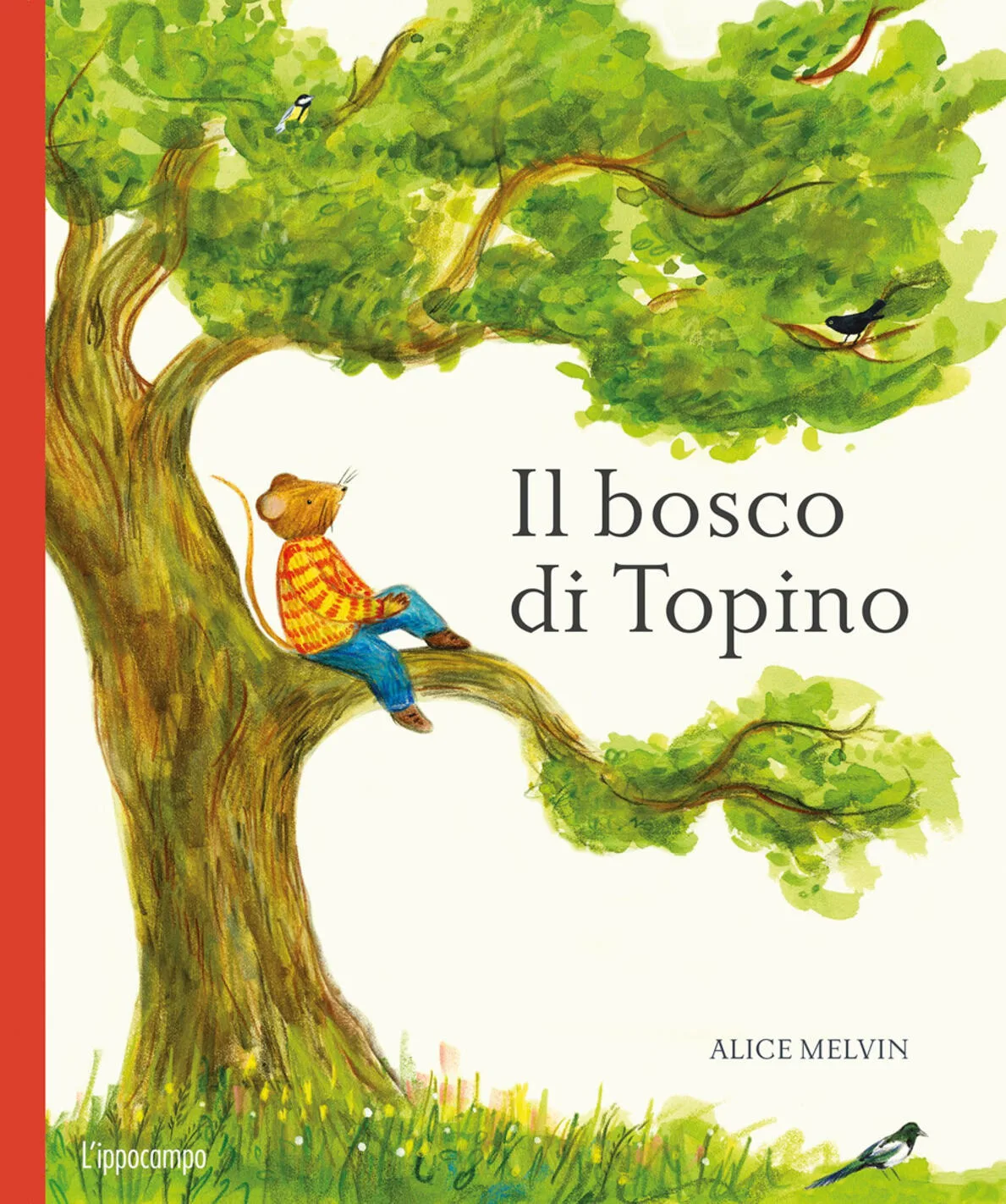 Il bosco di Topino