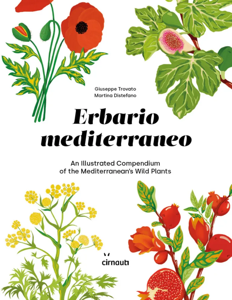 Erbario mediterraneo
