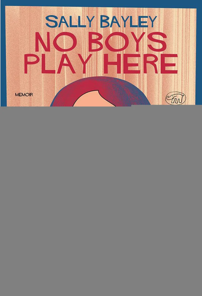 No boys play here. Ediz. italiana