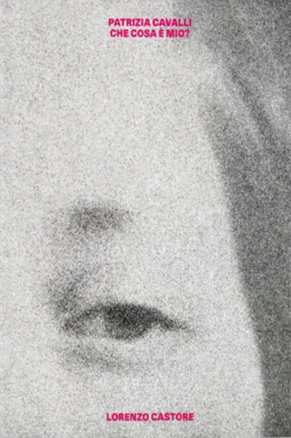 Patrizia cavalli. Che cosa è mio?