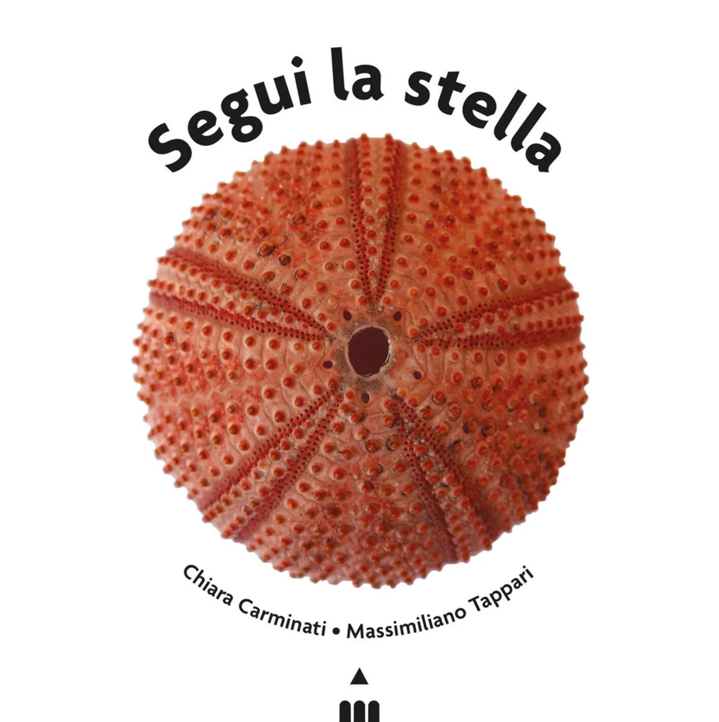 Segui la stella