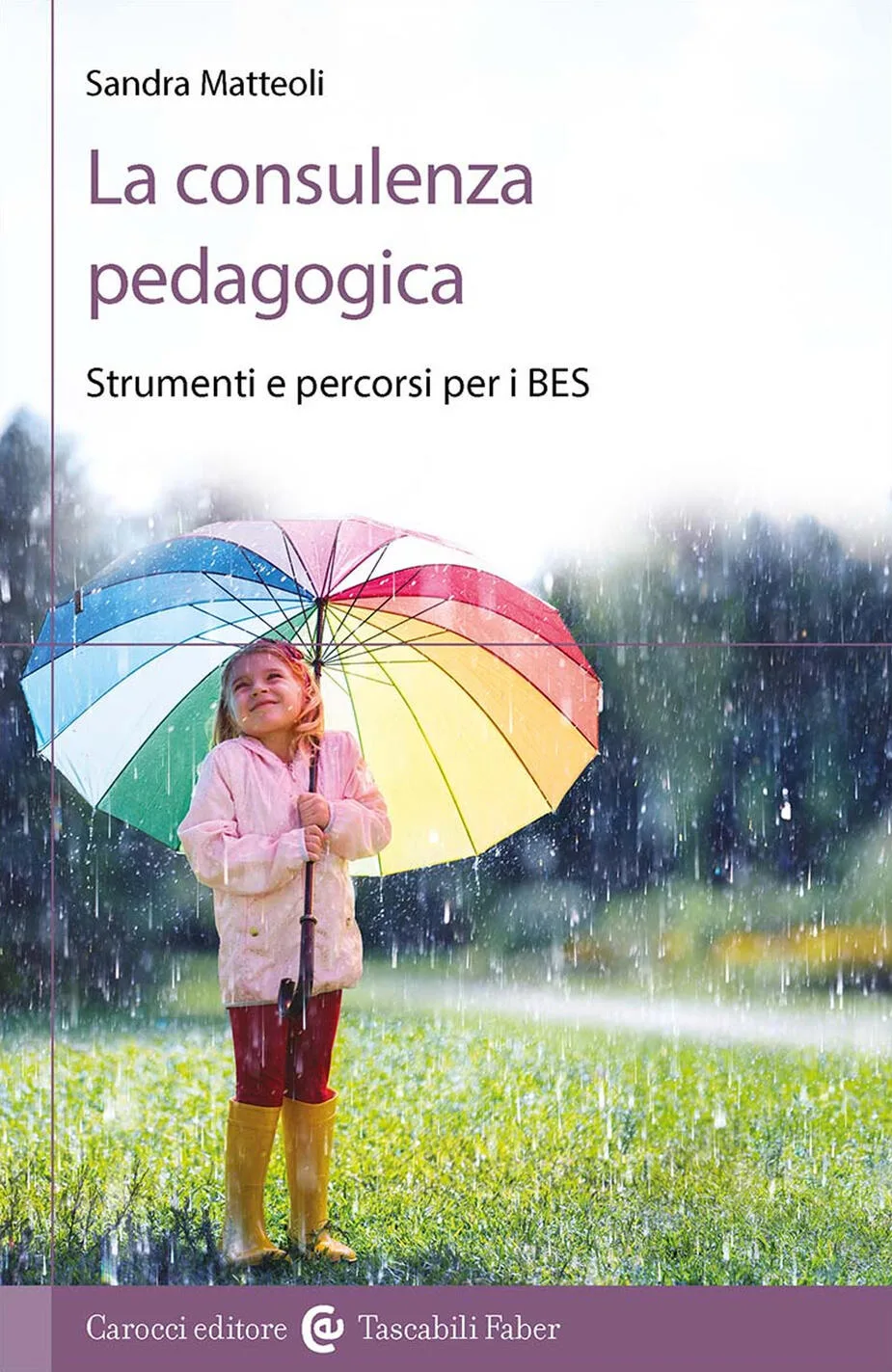 Consulenza pedagogica. Strumenti e percorsi per i BES