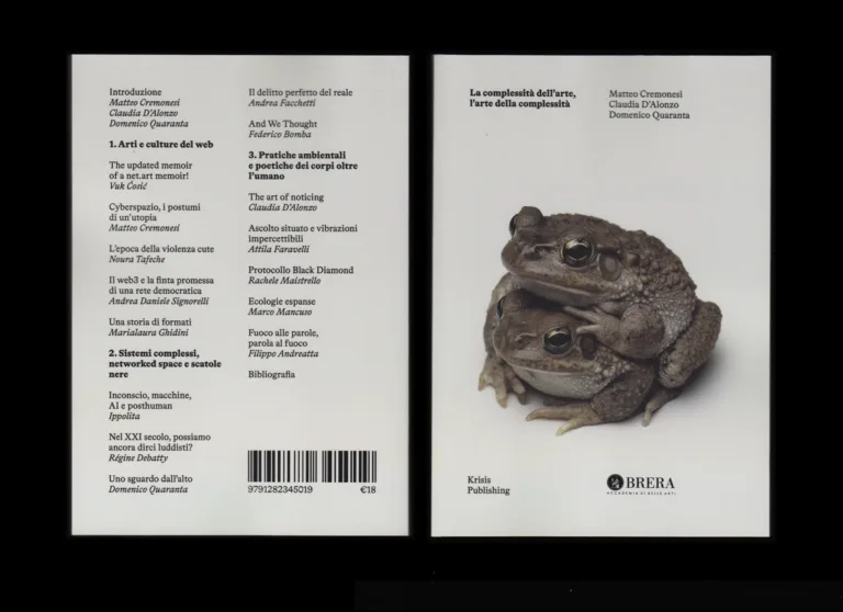 La complessità dell'arte, l'arte della complessità