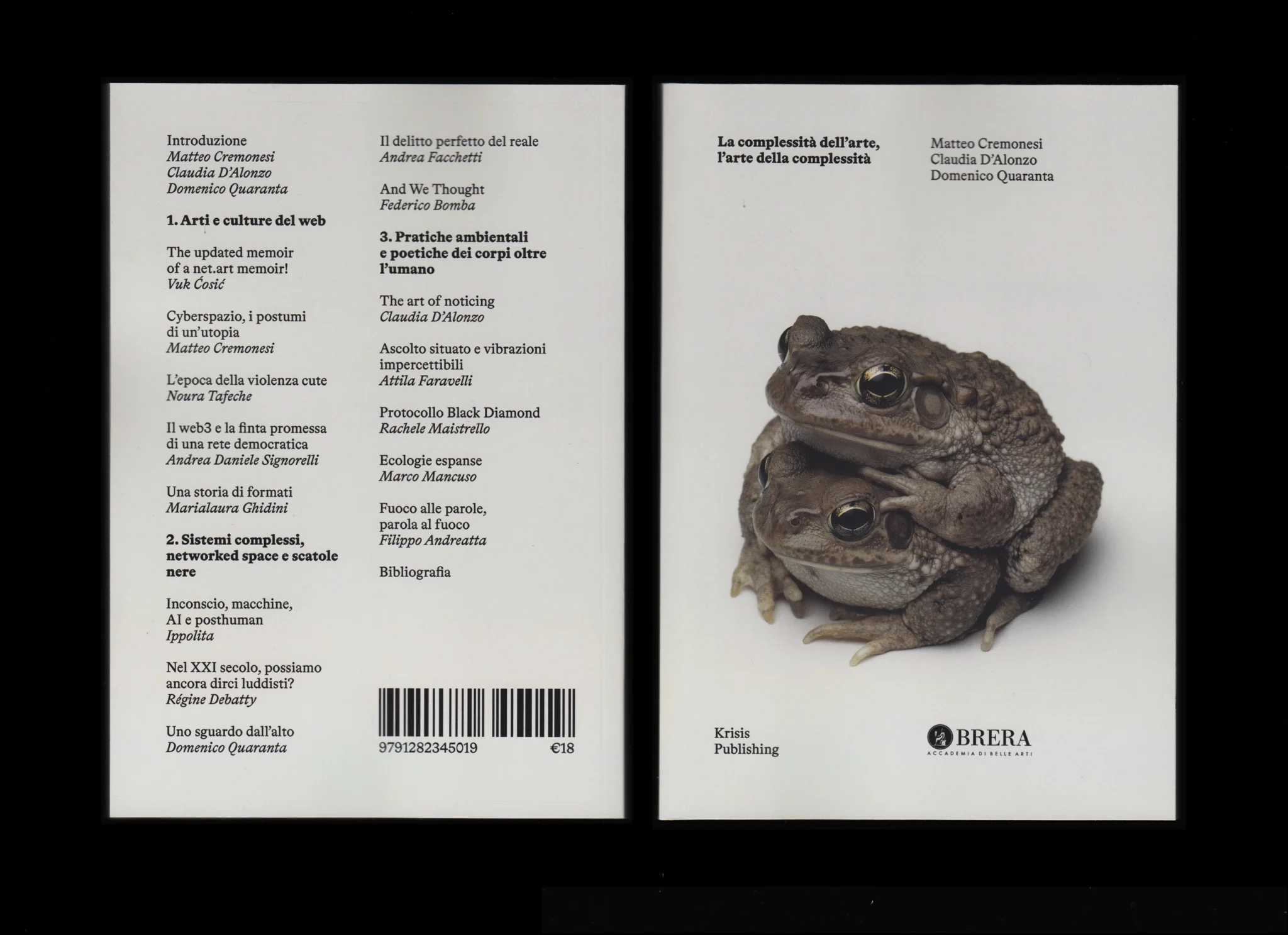 La complessità dell'arte, l'arte della complessità