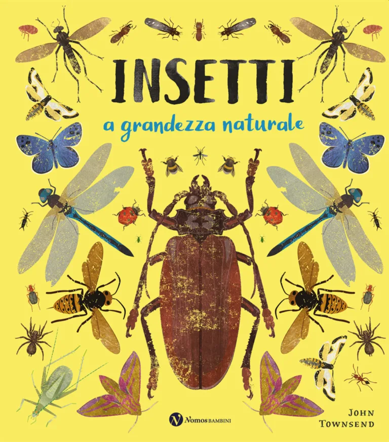 Insetti. a grandezza naturale
