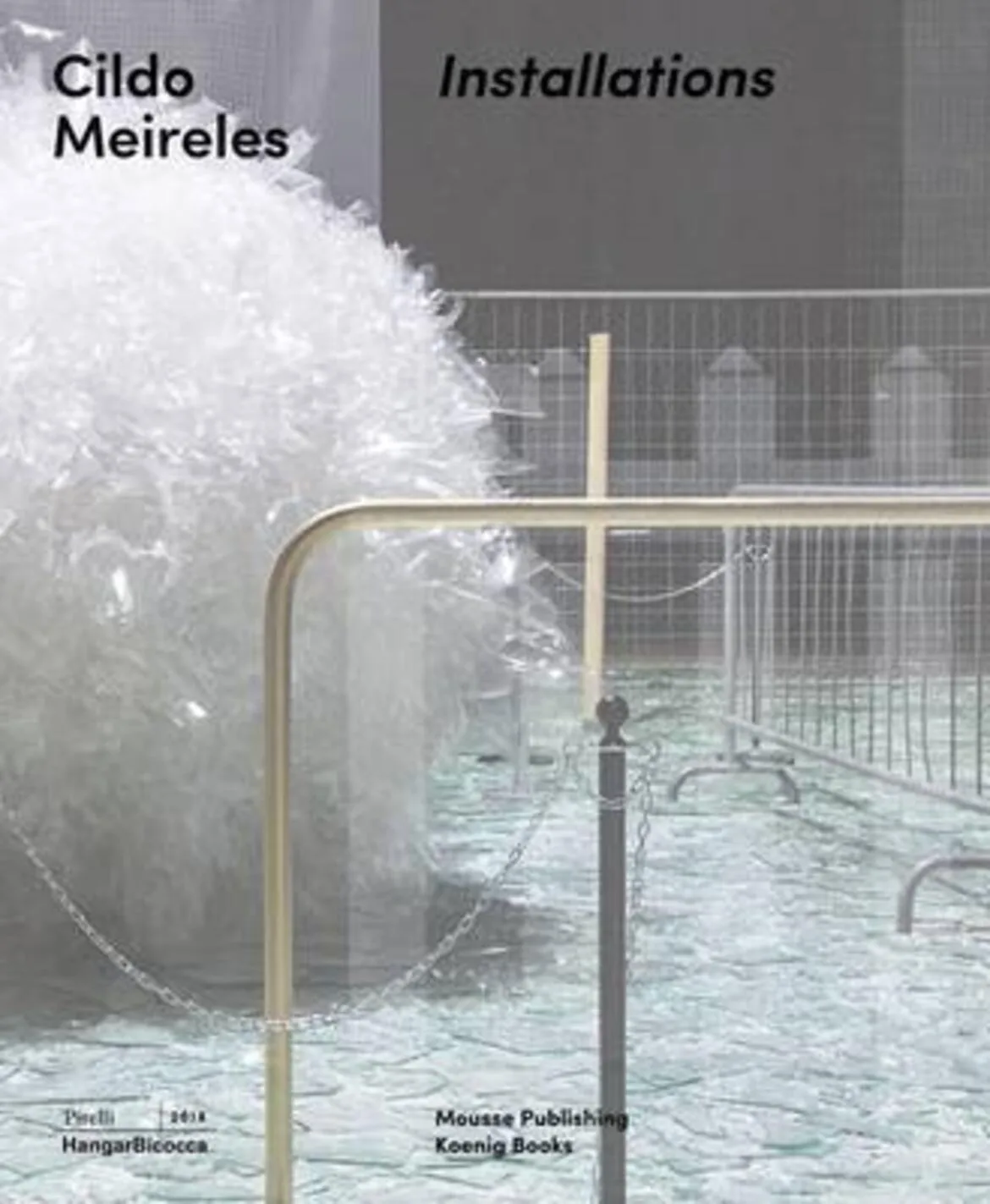 CILDO MEIRELES
