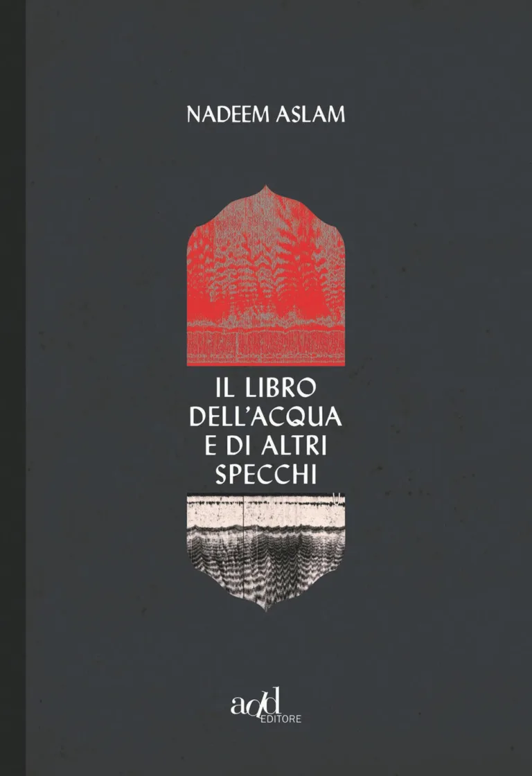 Il libro dell'acqua e di altri specchi