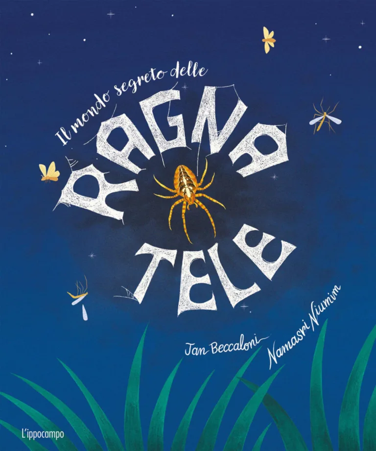 Il mondo segreto delle ragnatele