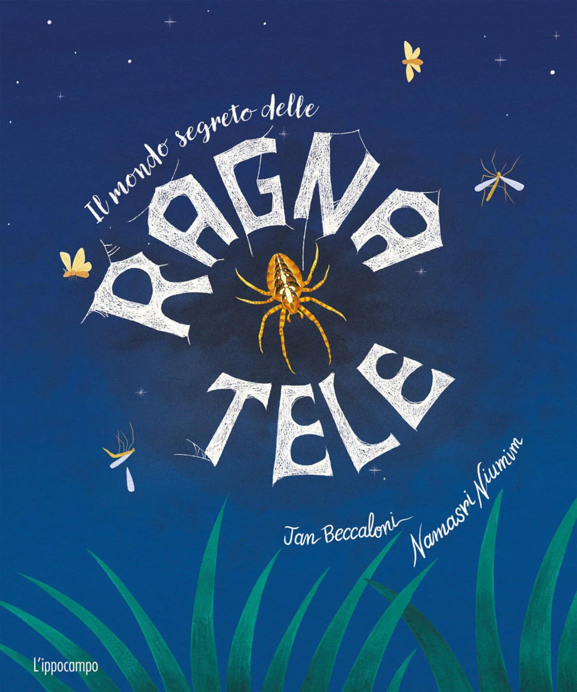 Il mondo segreto delle ragnatele