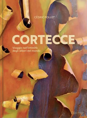 Cortecce. Viaggio nell'intimità degli alberi del mondo