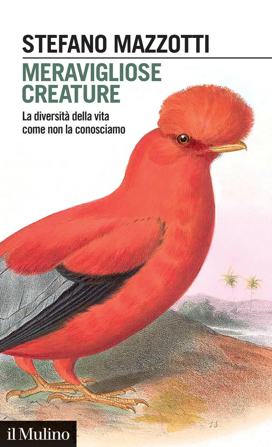 meravigliose creature. la diversità della vita come non la conosciamo