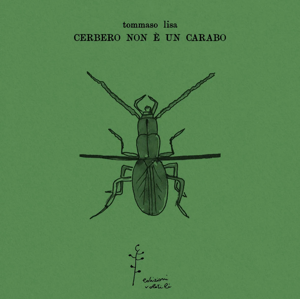 Cerbero non è un Carabo