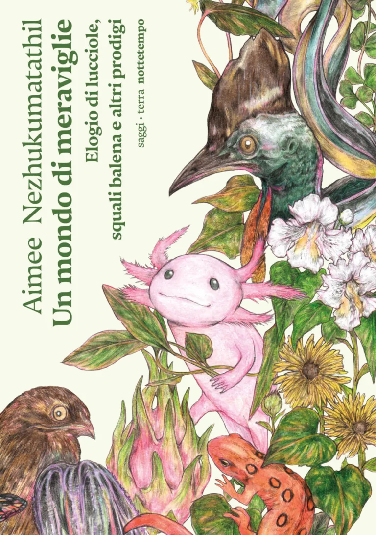 Un mondo di meraviglie. elogio di lucciole, squali balena e altri prodigi