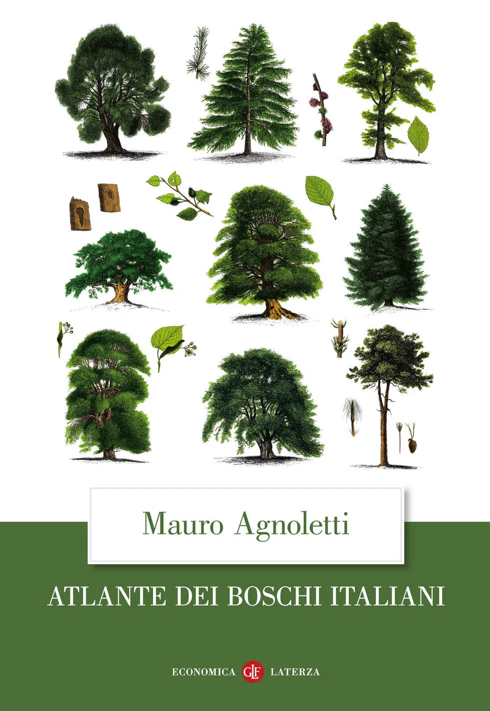 atlante dei boschi italiani