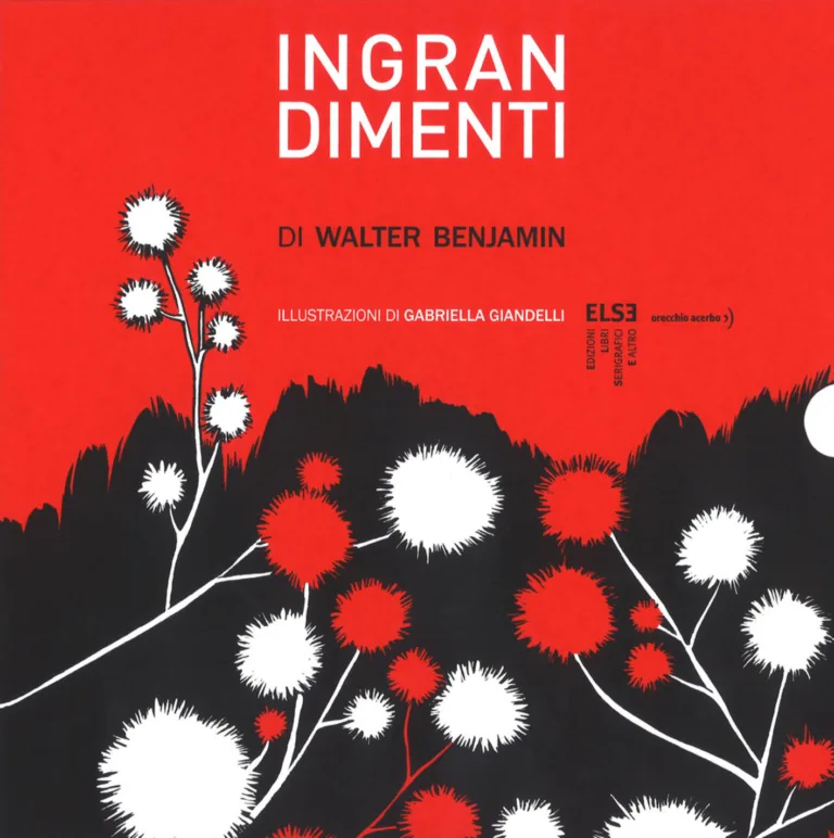 Ingrandimenti