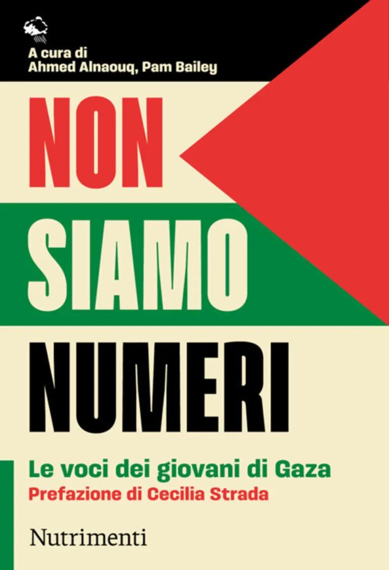 Non siamo numeri. Le voci dei giovani di