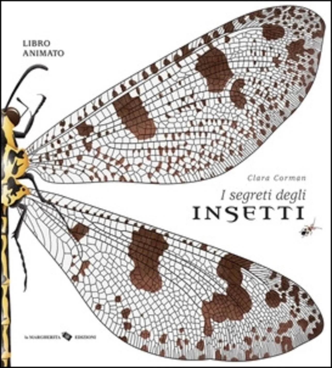 I segreti degli insetti. Ediz. a colori