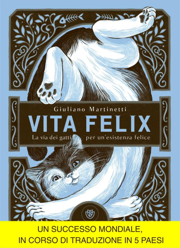 Vita felix. La via dei gatti per un'esistenza felice