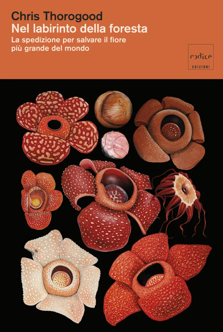 Nel labirinto della foresta. La spedizione per salvare Il fiore più gande del mondo