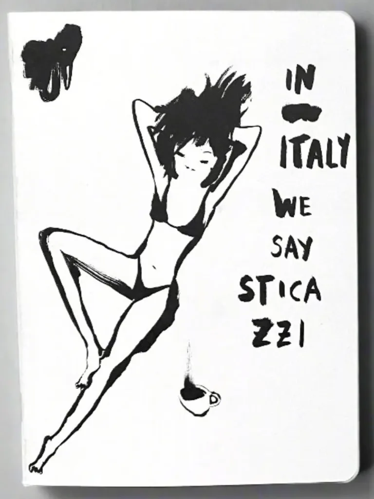 Quaderno In Italy we say sticazzi